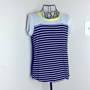 Striped Navy and Gray T-Shirt
